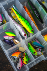 Коробка Zebco Trophy Box Large 2