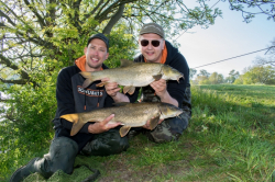 Пеллетс Sonubaits Spicy Sausage Halibut Pellets