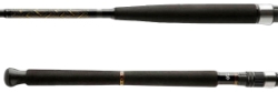 Спиннинг Daiwa BG Boat 2.10m 150-400g