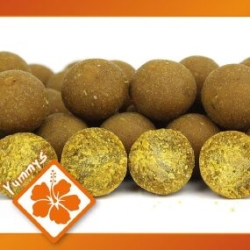 Бойлы Imperial Baits Carptrack Osmotic Oriental Spice 24mm 1kg