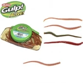 GULP! ALIVE! SANDWORM BROWN FLECK 6"/15CM 14 ST. 