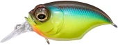 Megabass SR-X GRIFFON MEGABASS BREAM