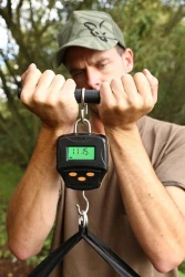 Весы Fox Digital Scales 60kg