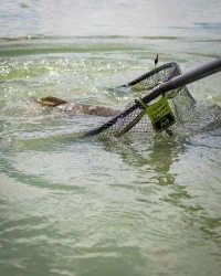 Голова подсака Matrix Carp Latex Net M 50 x 40cm