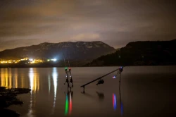 Сигнализатор Fox RX+ head only Multicolour