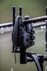 Сигнализатор Fox RX+ head only Multicolour