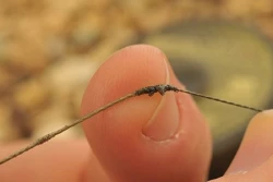 Поводковый материал в оболочке Korda Kamo coated Hooklink 20LB