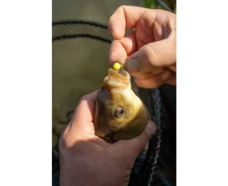 Вафтерсы Sonubaits Spike Um Wafters Fluoro 8mm 40g